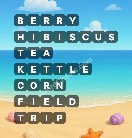 Word Chain Level 188 Answers