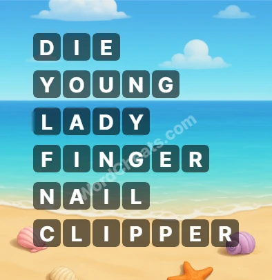 Word Chain Level 306 Answers