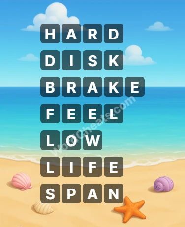 Word Chain Level 307 Answers