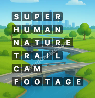 Word Chain Level 406 Answers