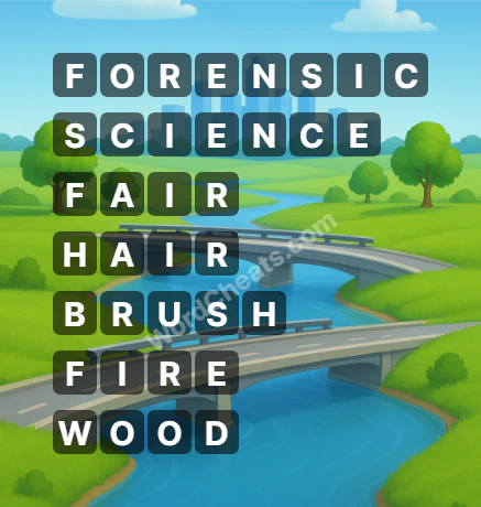 Word Chain Level 434 Answers