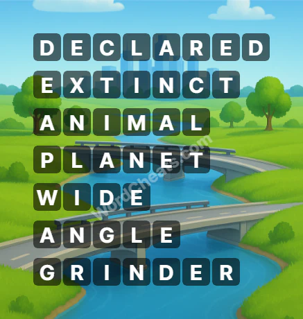 Word Chain Level 436 Answers