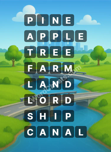 Word Chain Level 468 Answers