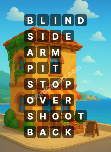 Word Chain Level 563 Answers